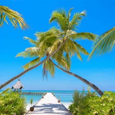 星力正版捕鱼截图