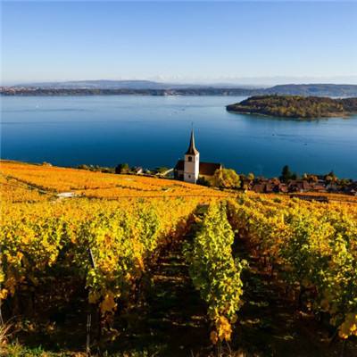 2023澳门管家婆资料正版大全app下载