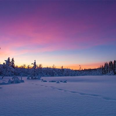 星空体育安卓app下载