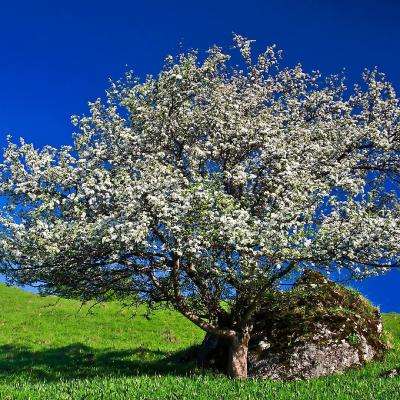 江南网页入口官方正版