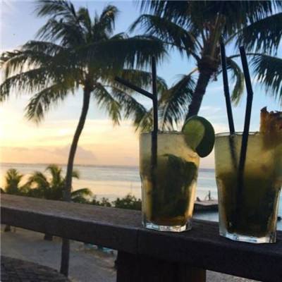 Kaiyun·体育(全站)